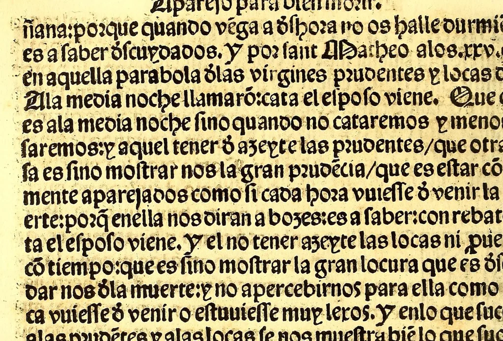 An illustration from Regla christiana breue: : p[ar]a ordenar la vida y t[i]po d[e]l [crist]iano q[ue] se q[ui]ere saluar y tener su alma dispuesta: p[ar]a q[ue] Jesu [Crist]o more en ella., 1547, leaf 200