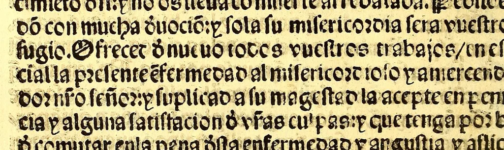An illustration from Regla christiana breue: : p[ar]a ordenar la vida y t[i]po d[e]l [crist]iano q[ue] se q[ui]ere saluar y tener su alma dispuesta: p[ar]a q[ue] Jesu [Crist]o more en ella., 1547, leaf 216
