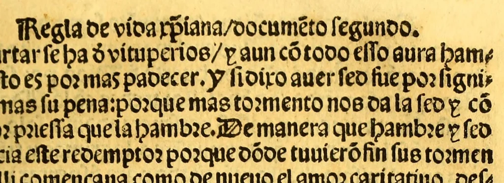 An illustration from Regla christiana breue: : p[ar]a ordenar la vida y t[i]po d[e]l [crist]iano q[ue] se q[ui]ere saluar y tener su alma dispuesta: p[ar]a q[ue] Jesu [Crist]o more en ella., 1547, leaf 35
