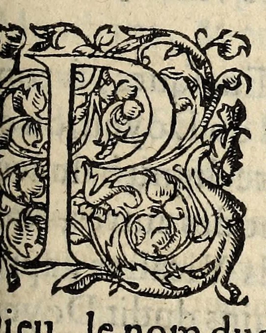 An illustration from Reglement facit par Monseignevr le Dvc de Mayenne ... & le Conseil general de l'Union ... pour pourueoir & remedier aux desordres aduenus à l'occasion des troubles presens: attendant qu'il y soit plus amplement pourueu par l'assemblee generalle des Estats, assignez au 15. de Iuillet prochain., 1589, leaf 3