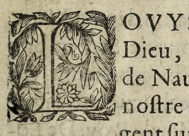 An illustration from Reglement fait av Conseil d'Estat, contenant la reduction du nombre des procureurs du Parlement de Paris à deux cens, conformément à l'ordonnance de Moulins, & à l'arrest donné audit Parlement, le 16. Iuillet de l'annee presente 1621., 1621, leaf 13