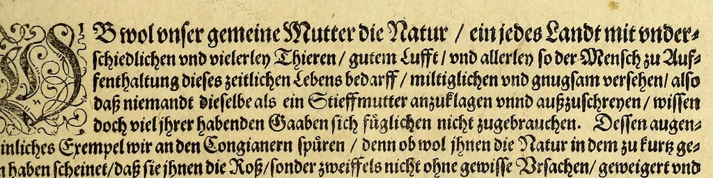 An illustration from Regnvm Congo hoc est Warhaffte vnd Eigentliche Beschreibung dess Königreichs Congo in Africa, vnd deren angrentzenden Länder, darinnen der Inwohner Glaub, Leben, Sitten vnd Kleydung wol vnd aussführlich vermeldet vnd angezeigt wirdt., 1609, leaf 119