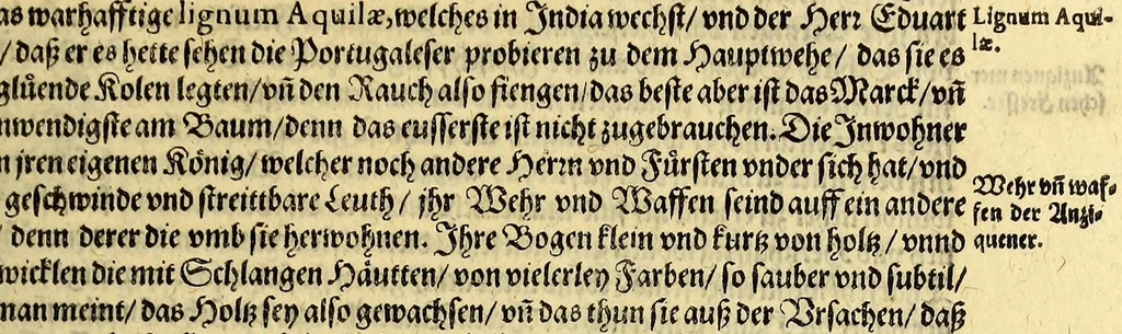 An illustration from Regnvm Congo hoc est Warhaffte vnd Eigentliche Beschreibung dess Königreichs Congo in Africa, vnd deren angrentzenden Länder, darinnen der Inwohner Glaub, Leben, Sitten vnd Kleydung wol vnd aussführlich vermeldet vnd angezeigt wirdt., 1609, leaf 37