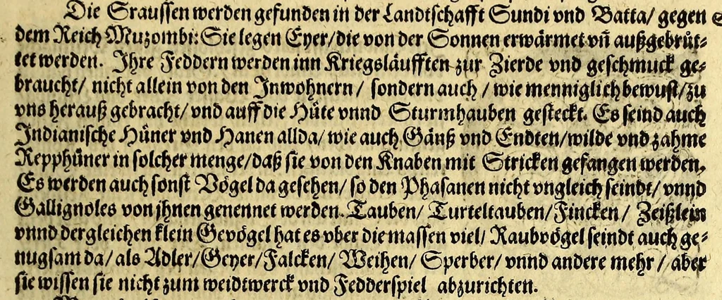 An illustration from Regnvm Congo hoc est Warhaffte vnd Eigentliche Beschreibung dess Königreichs Congo in Africa, vnd deren angrentzenden Länder, darinnen der Inwohner Glaub, Leben, Sitten vnd Kleydung wol vnd aussführlich vermeldet vnd angezeigt wirdt., 1609, leaf 53