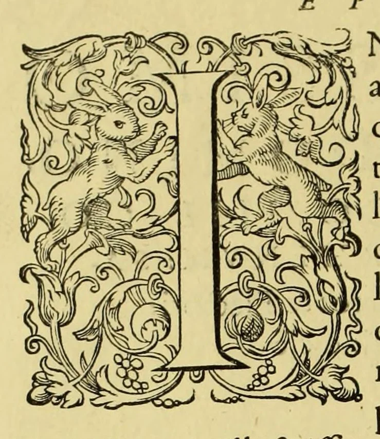 An illustration from Regnvm Congo hoc est Vera descriptio regni Africani, qvod tam ab incolis qvam Lvsitanis Congus appellatur., 1598, leaf 10