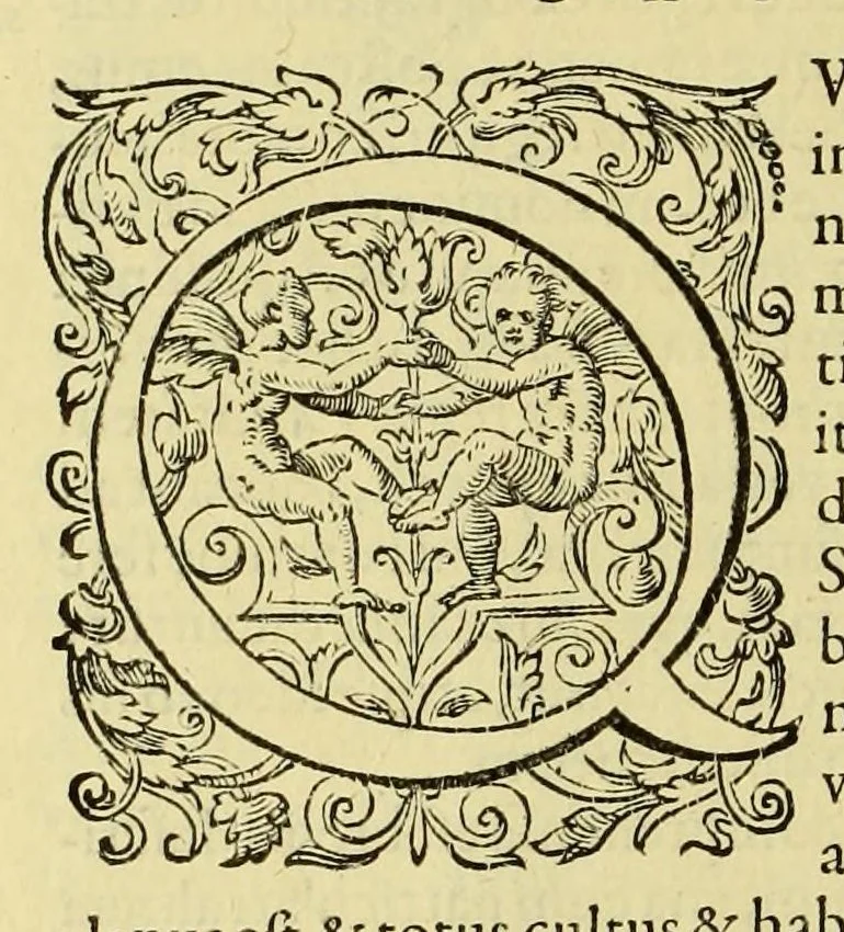 An illustration from Regnvm Congo hoc est Vera descriptio regni Africani, qvod tam ab incolis qvam Lvsitanis Congus appellatur., 1598, leaf 48