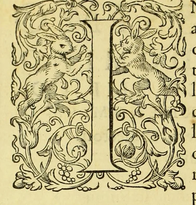 An illustration from Regnvm Congo hoc est Vera descriptio regni Africani, qvod tam ab incolis qvam Lvsitanis Congus appellatur., 1598, leaf 10