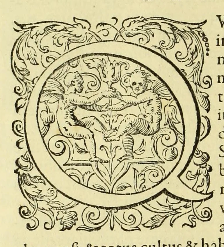 An illustration from Regnvm Congo hoc est Vera descriptio regni Africani, qvod tam ab incolis qvam Lvsitanis Congus appellatur., 1598, leaf 50