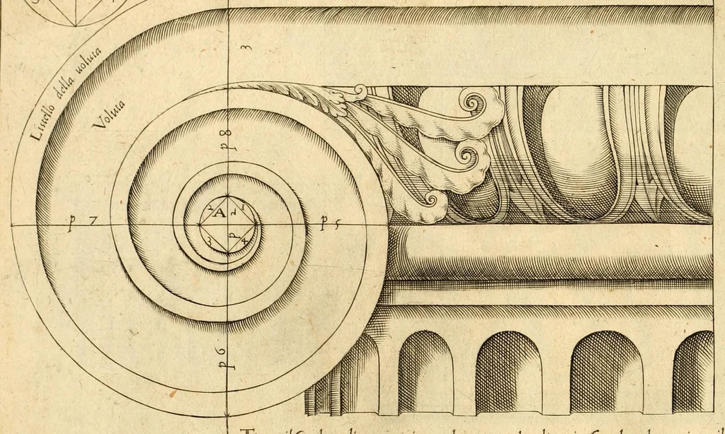 An illustration from Regola delli cinque ordini d'architettura di m. Iacomo Barozzio da Vignola : con la nuun agionta di Michelangelo Buonaroti di carte sette, leaf 56