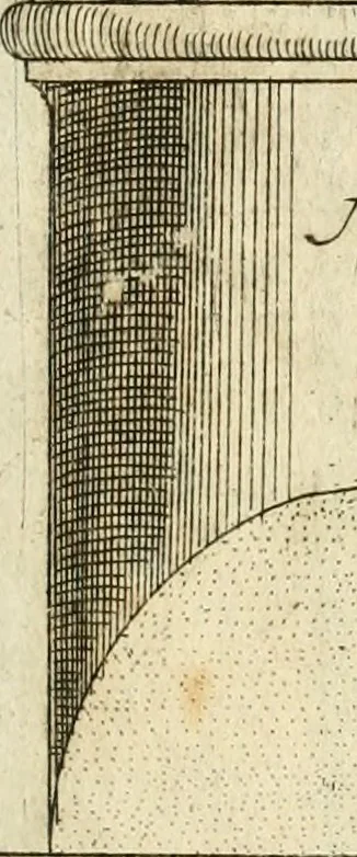 An illustration from Regola delli cinqve ordini d'architettvra, 1596, leaf 16
