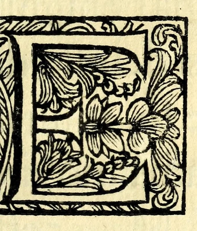An illustration from Regole della scherma insegnate da Lelio e Titta Marcelli, 1686, leaf 193