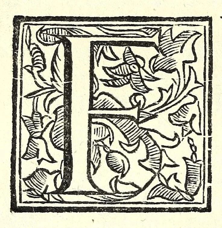 An illustration from Regole della scherma insegnate da Lelio e Titta Marcelli, 1686, leaf 254