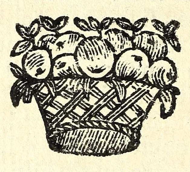 An illustration from Regole della scherma insegnate da Lelio e Titta Marcelli, 1686, leaf 282