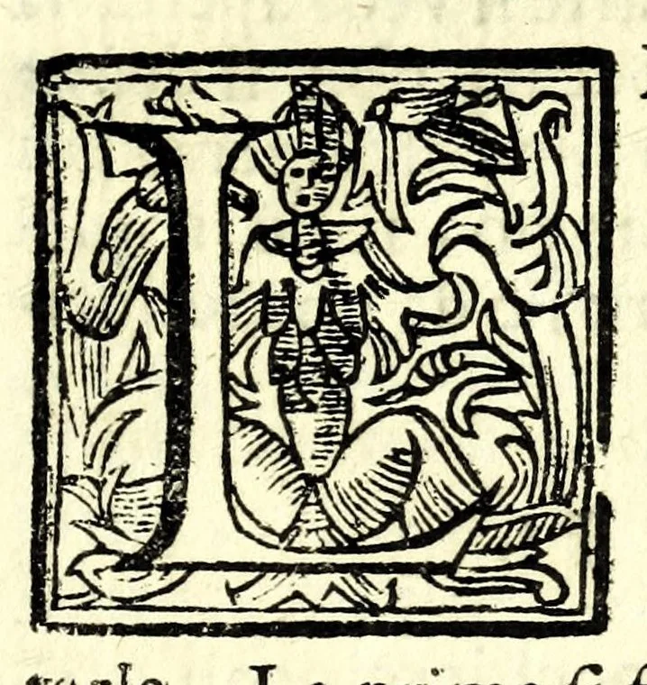 An illustration from Regole della scherma insegnate da Lelio e Titta Marcelli, 1686, leaf 283