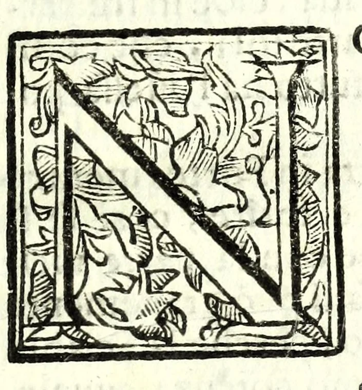 An illustration from Regole della scherma insegnate da Lelio e Titta Marcelli, 1686, leaf 299
