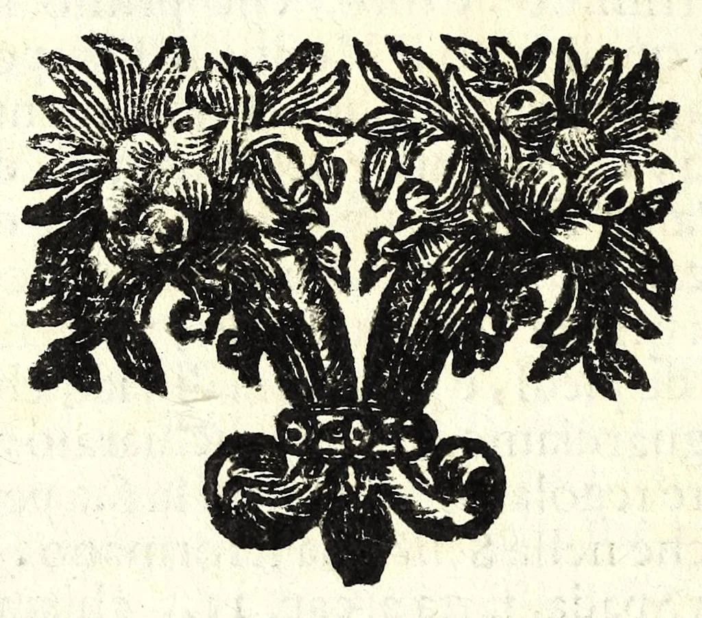 An illustration from Regole della scherma insegnate da Lelio e Titta Marcelli, 1686, leaf 74