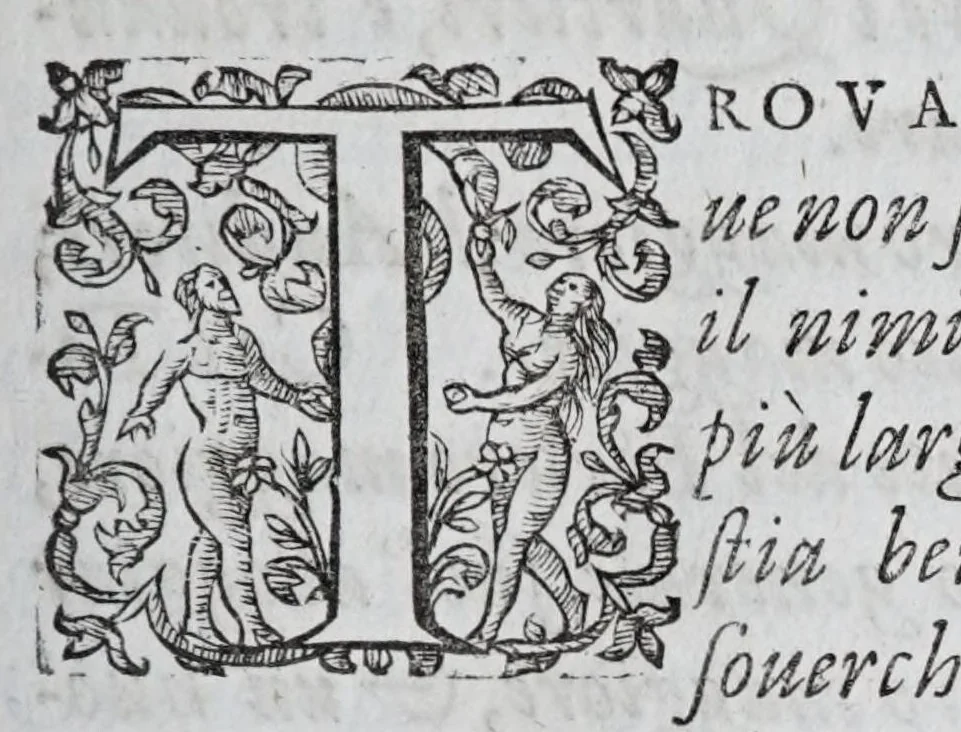 An illustration from Regole militari sopra il gouerno e seruito particolare della caualleria, 1611, leaf 107