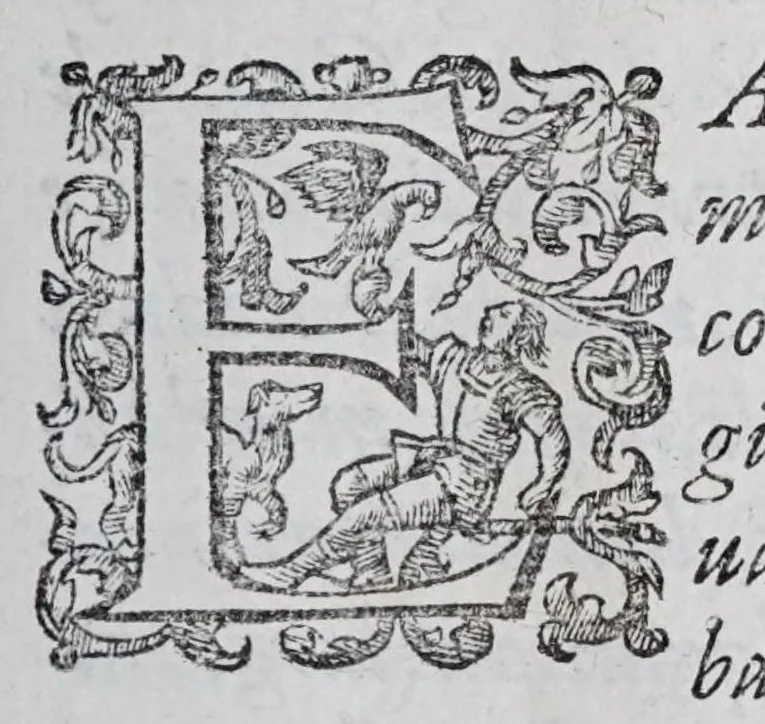 An illustration from Regole militari sopra il gouerno e seruito particolare della caualleria, 1611, leaf 135