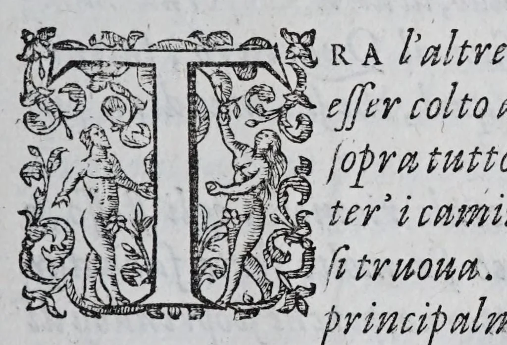 An illustration from Regole militari sopra il gouerno e seruito particolare della caualleria, 1611, leaf 149