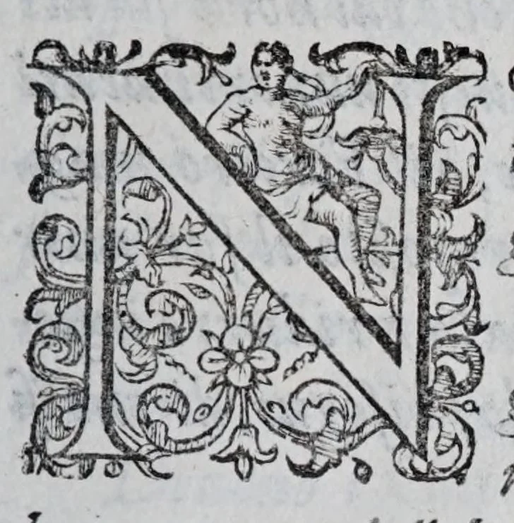 An illustration from Regole militari sopra il gouerno e seruito particolare della caualleria, 1611, leaf 165