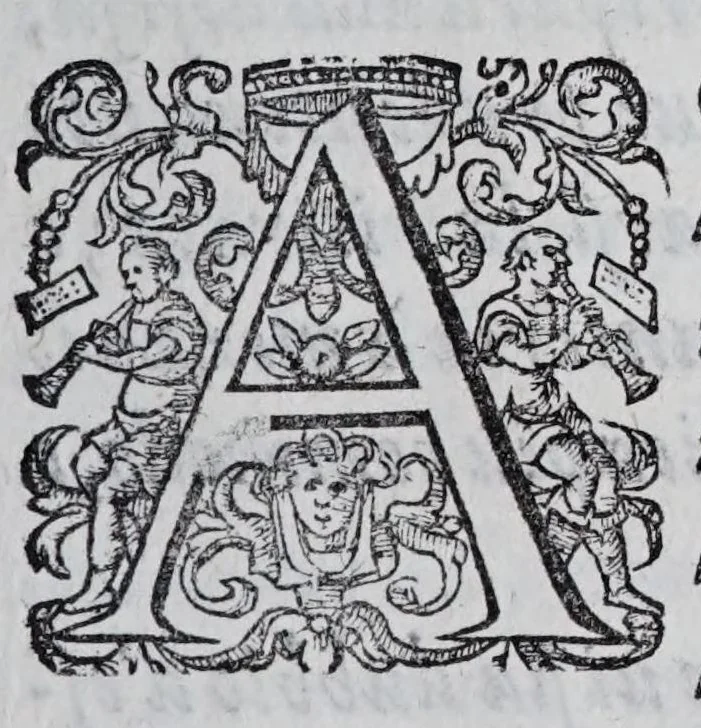 An illustration from Regole militari sopra il gouerno e seruito particolare della caualleria, 1611, leaf 201