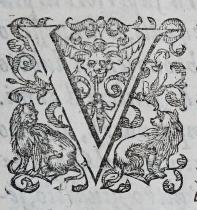 An illustration from Regole militari sopra il gouerno e seruito particolare della caualleria, 1611, leaf 211