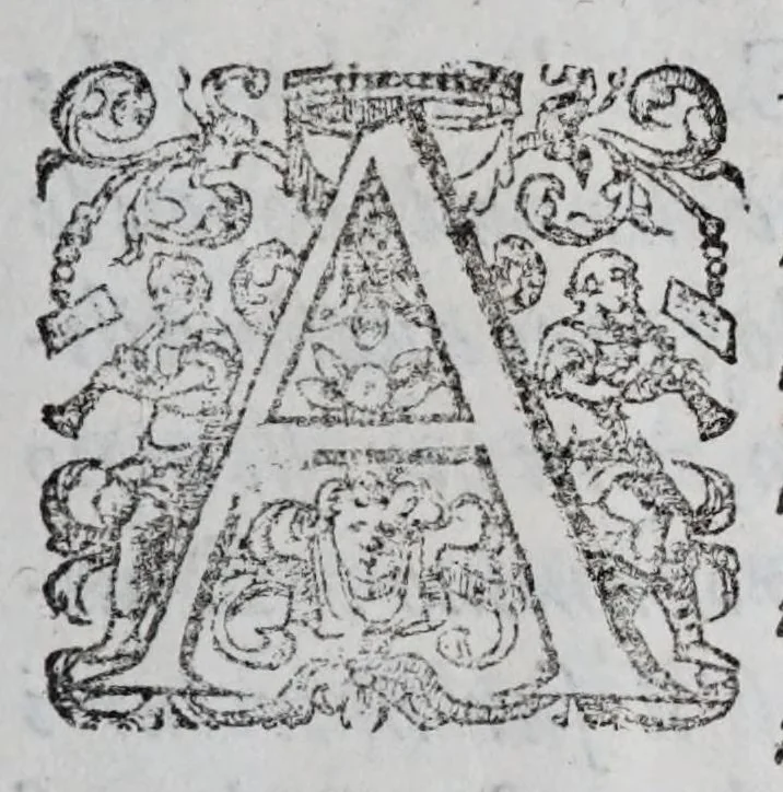 An illustration from Regole militari sopra il gouerno e seruito particolare della caualleria, 1611, leaf 213