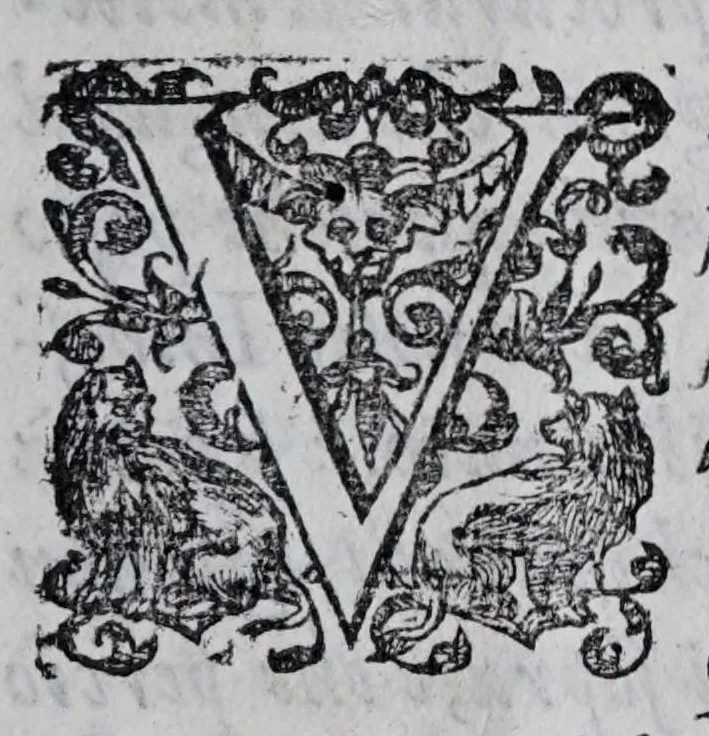 An illustration from Regole militari sopra il gouerno e seruito particolare della caualleria, 1611, leaf 231
