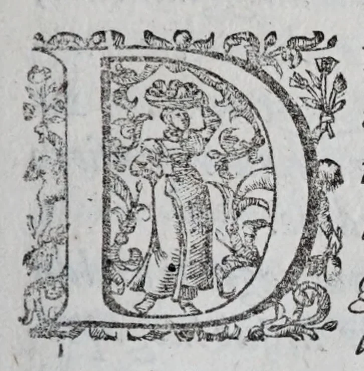 An illustration from Regole militari sopra il gouerno e seruito particolare della caualleria, 1611, leaf 43