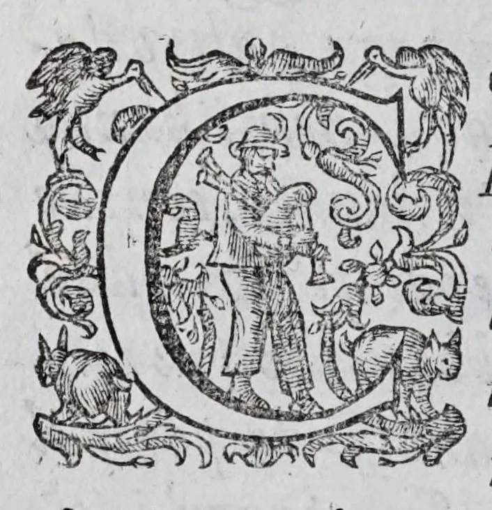 An illustration from Regole militari sopra il gouerno e seruito particolare della caualleria, 1611, leaf 44