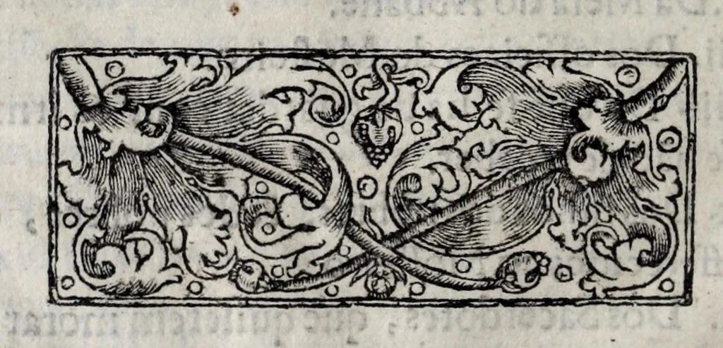 An illustration from Regra do glorioso patriarcha S. Bento : tirada de latim em lingoagem portuguesa, 1632, leaf 14
