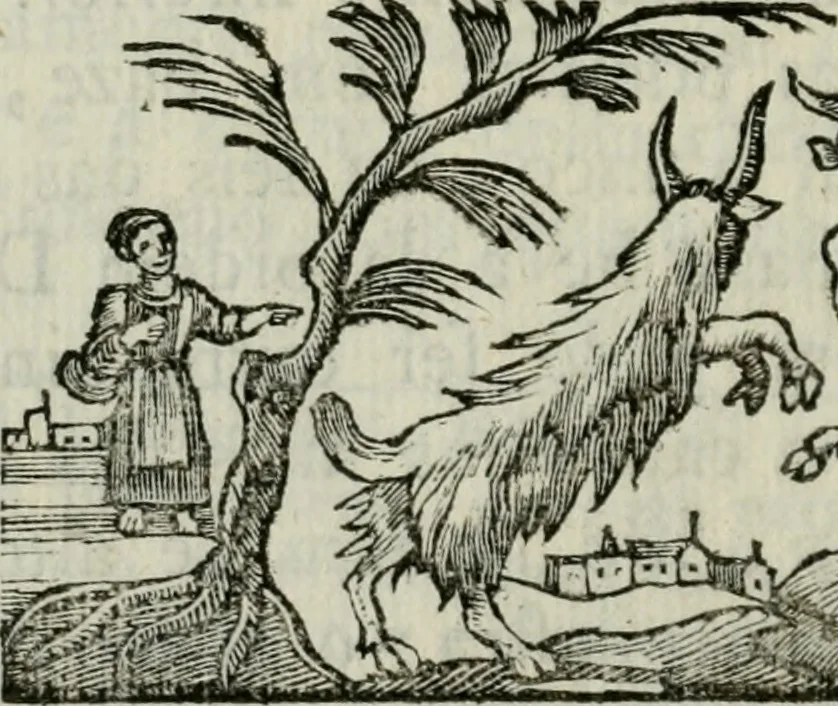 An illustration from Regras das sinco ordens de architectura segundo os principios de Vignhola : com hum ensaio sobre as mesmas ordens feito sobre o sentimento dos mais celebres architectos, 1787, leaf 175