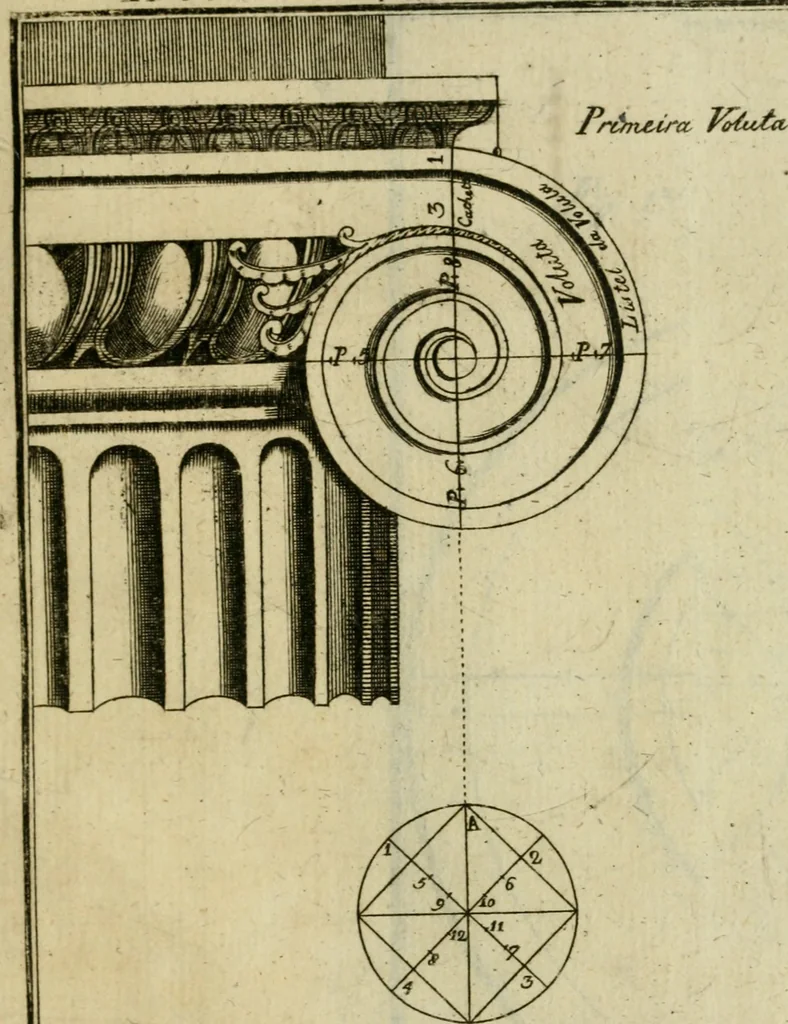 An illustration from Regras das sinco ordens de architectura segundo os principios de Vignhola : com hum ensaio sobre as mesmas ordens feito sobre o sentimento dos mais celebres architectos, 1787, leaf 234