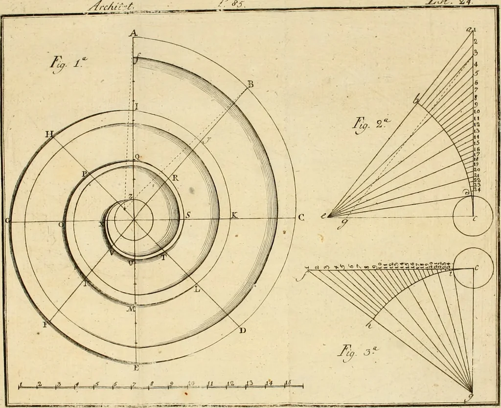 An illustration from Regras das sinco ordens de architectura segundo os principios de Vignhola : com hum ensaio sobre as mesmas ordens feito sobre o sentimento dos mais celebres architectos, 1787, leaf 239