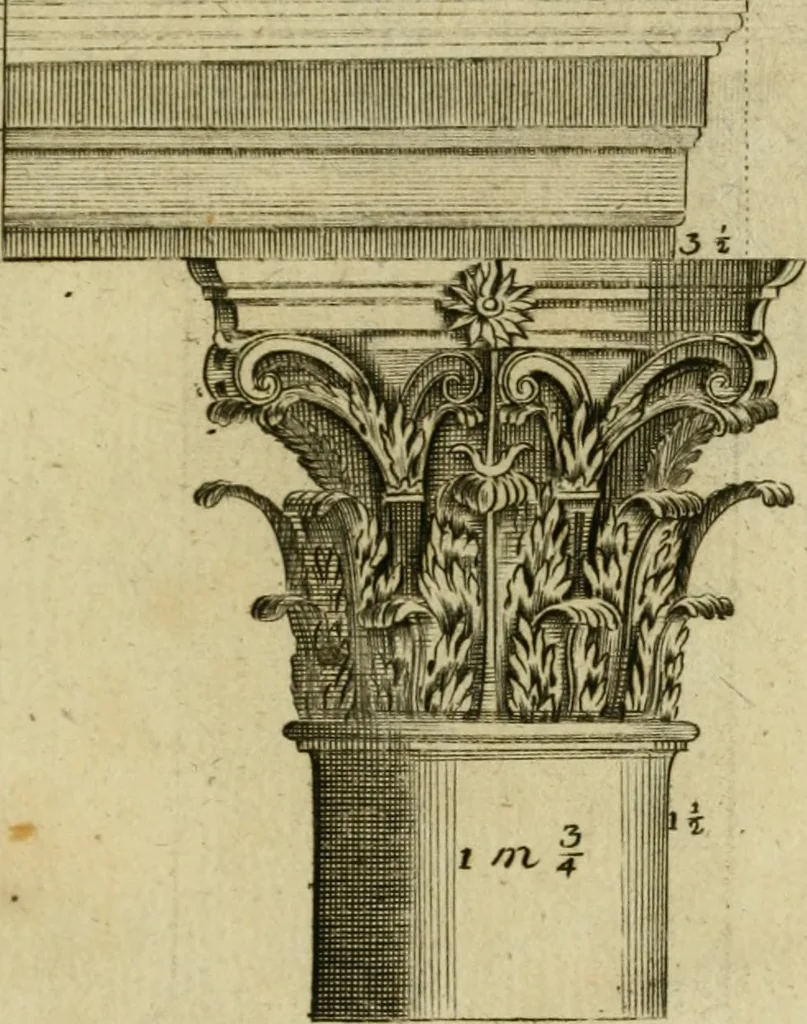 An illustration from Regras das sinco ordens de architectura segundo os principios de Vignhola : com hum ensaio sobre as mesmas ordens feito sobre o sentimento dos mais celebres architectos, 1787, leaf 308