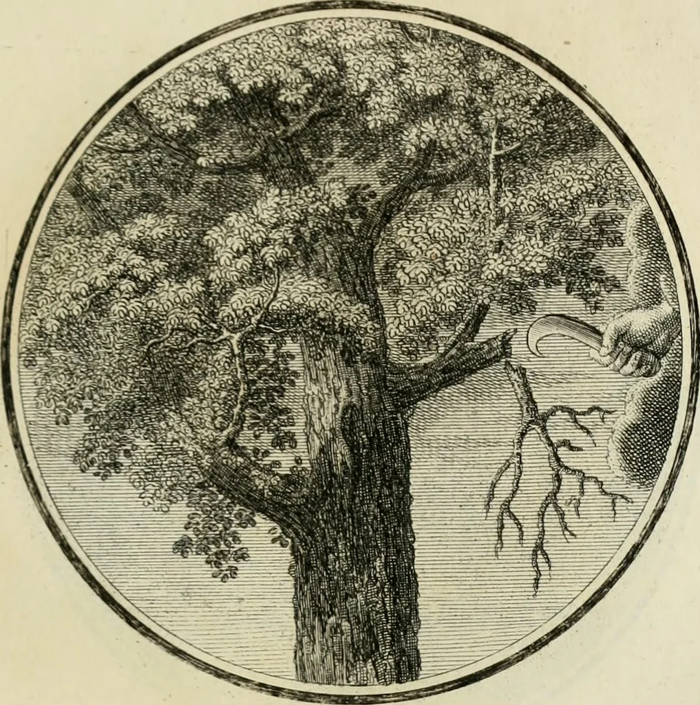 An illustration from Regula emblematica Sancti Benedicti, 1783, leaf 204
