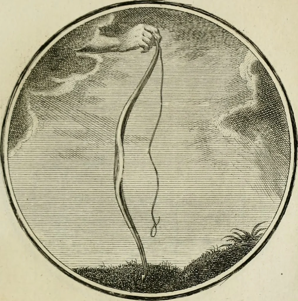 An illustration from Regula emblematica Sancti Benedicti, 1783, leaf 230