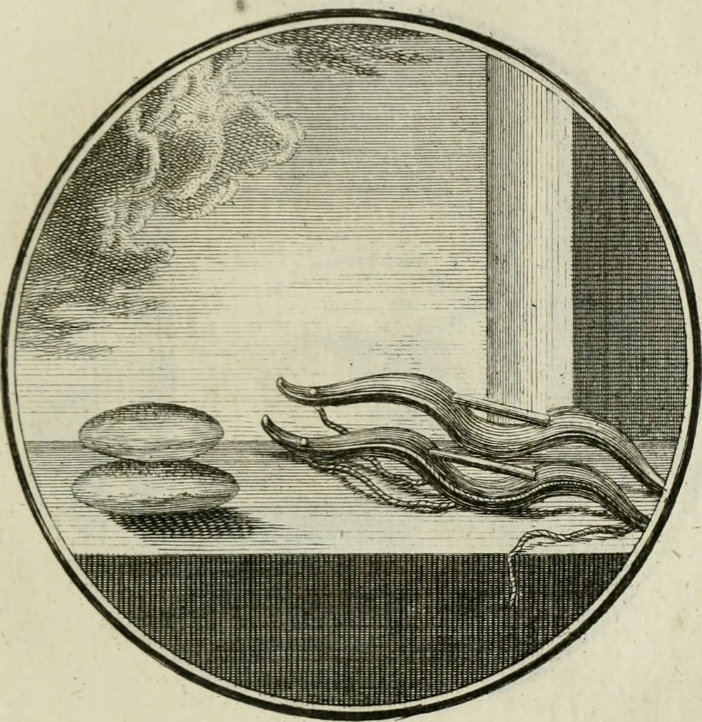 An illustration from Regula emblematica Sancti Benedicti, 1783, leaf 240