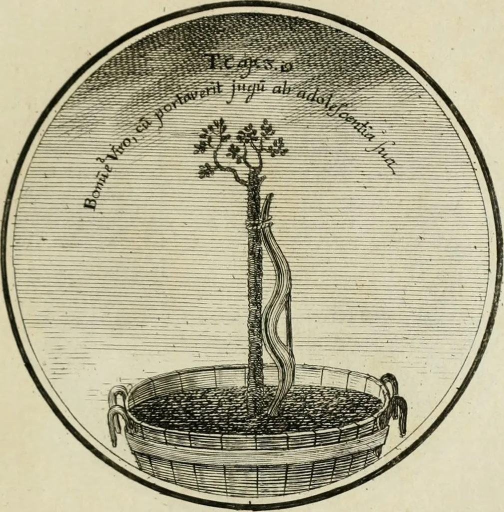 An illustration from Regula emblematica Sancti Benedicti, 1783, leaf 328