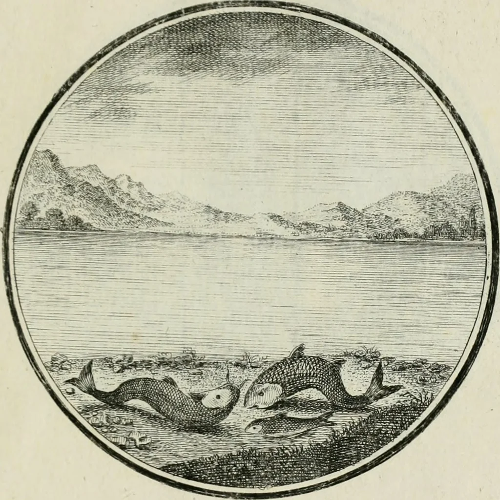 An illustration from Regula emblematica Sancti Benedicti, 1783, leaf 374