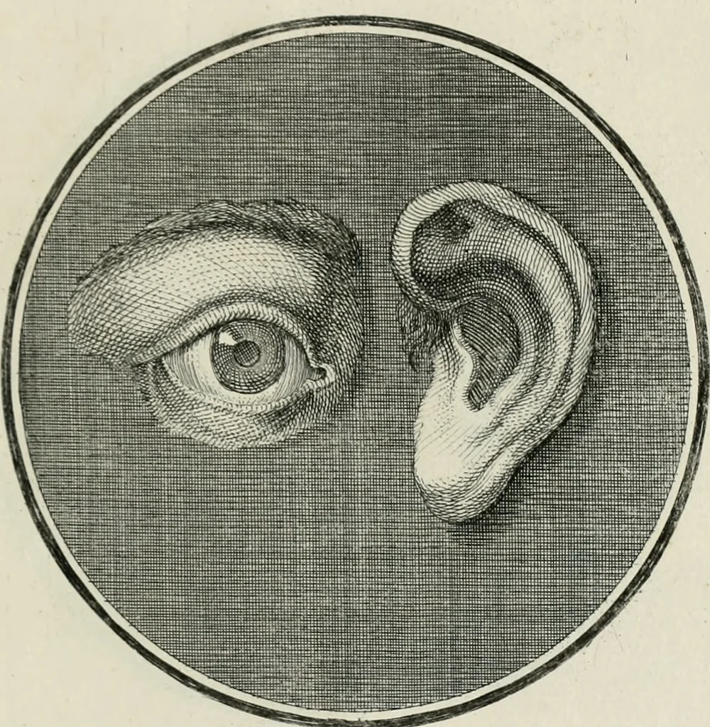 An illustration from Regula emblematica Sancti Benedicti, 1783, leaf 376