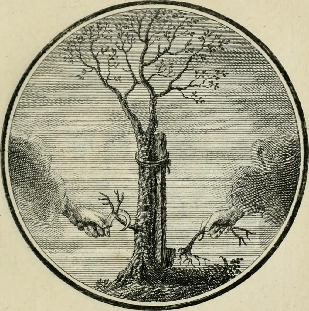 An illustration from Regula emblematica Sancti Benedicti, 1783, leaf 64