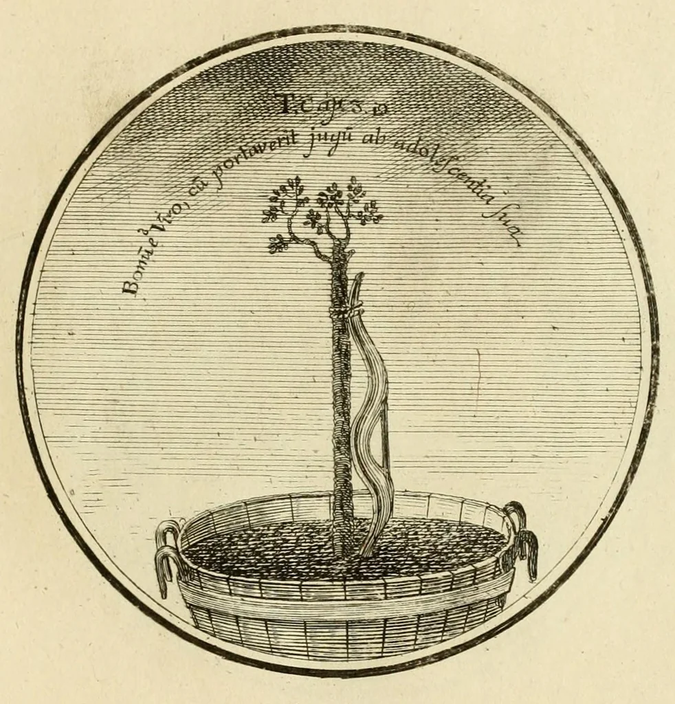 An illustration from Regula emblematica Sancti Benedicti, 1780, leaf 329