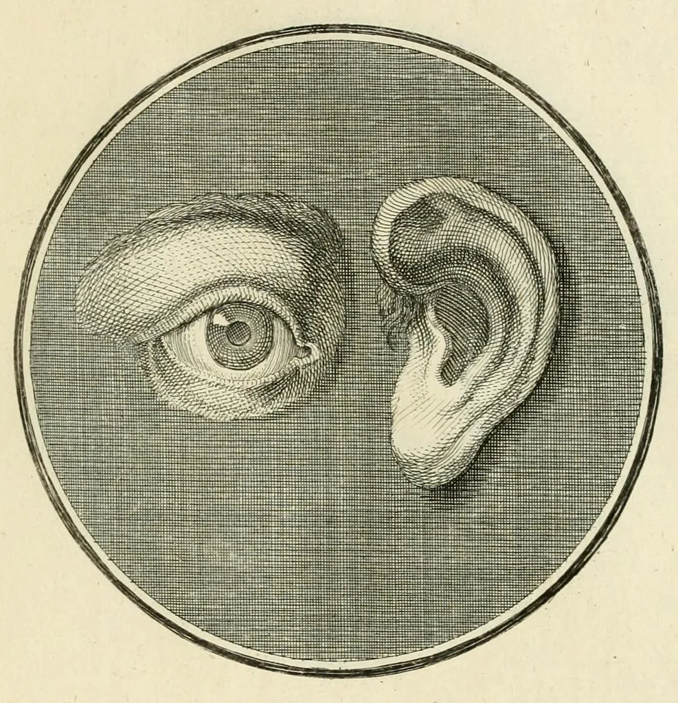 An illustration from Regula emblematica Sancti Benedicti, 1780, leaf 377