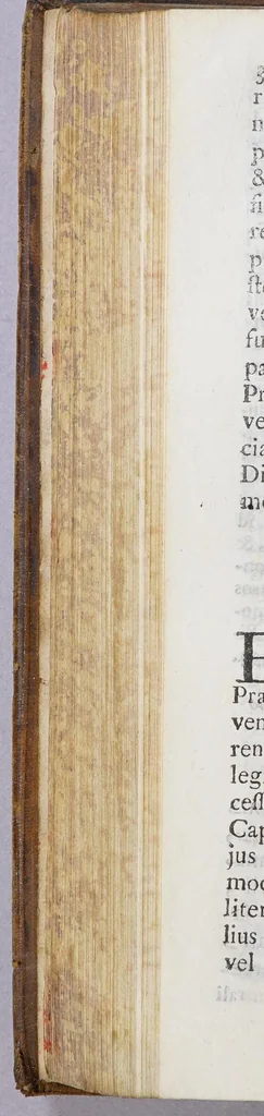 An illustration from Regula S. Augustini et Constitutiones FF. Ordinis Praedicatorum, 1690, leaf 356
