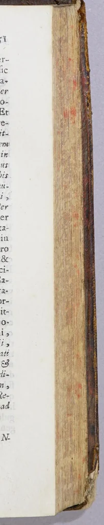 An illustration from Regula S. Augustini et Constitutiones FF. Ordinis Praedicatorum, 1690, leaf 445