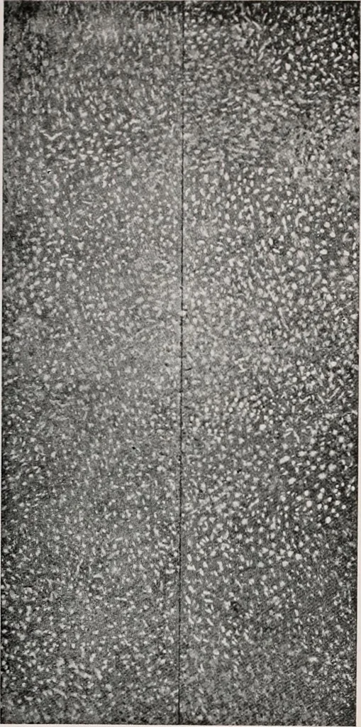 An illustration from Regulations for the proper construction, maintenance and operation of standard painted bulletin advertising plants as prescribed by the members of the Outdoor Advertising Association United States and Canada, 1917, leaf 7