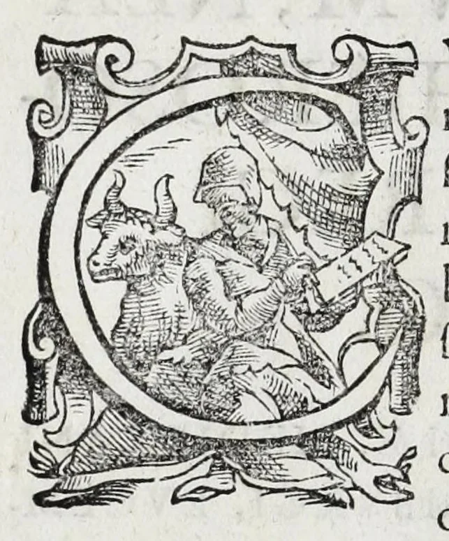 An illustration from Regum neapolitanorum vitae et effigies, 1605, leaf 10