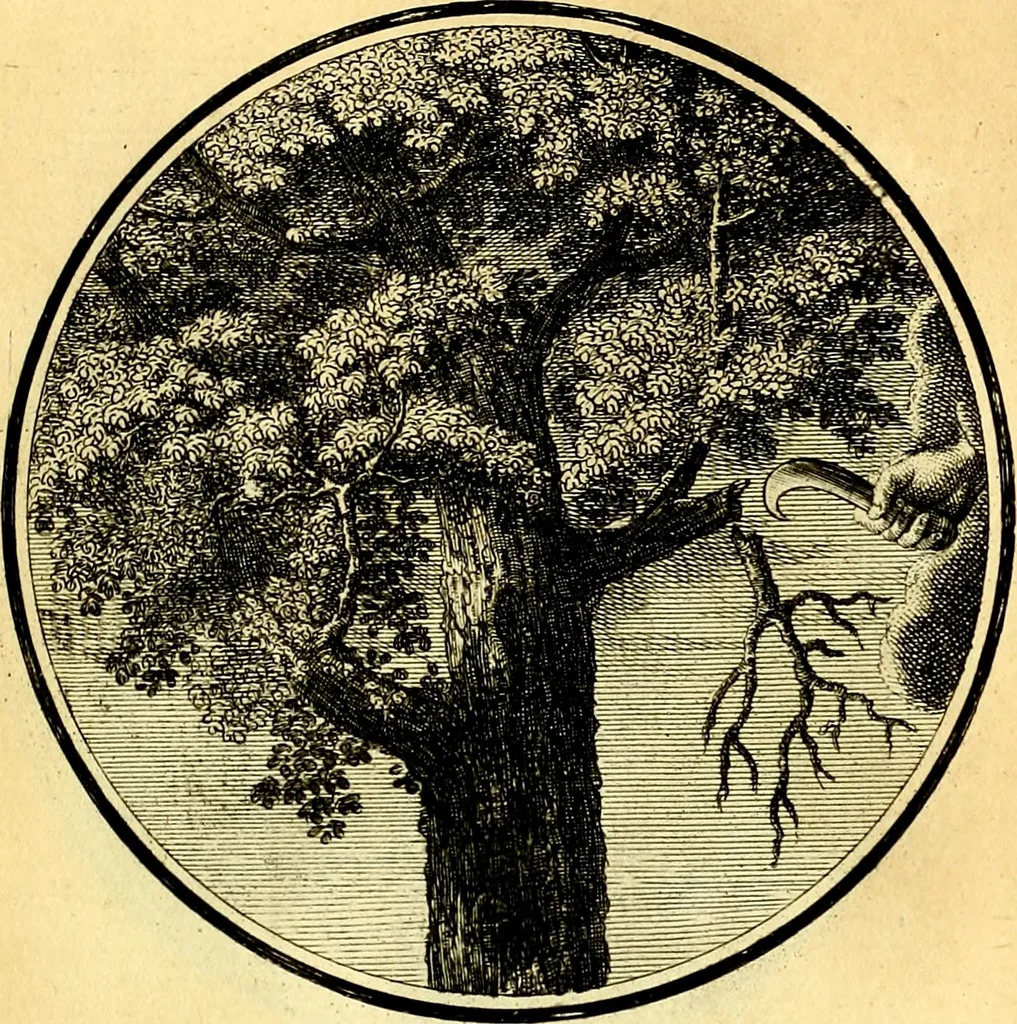 An illustration from Regvla emblematica sancti Benedicti, 1780, leaf 204