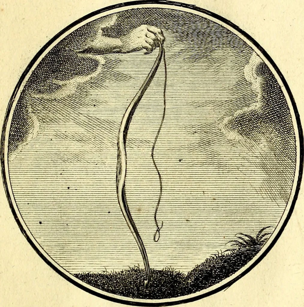 An illustration from Regvla emblematica sancti Benedicti, 1780, leaf 230